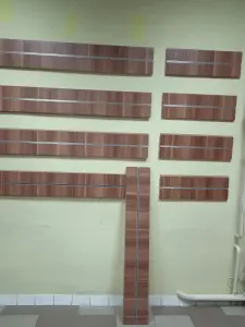 Экономпанели