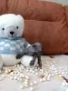 БРОНЬ Котенок Канадского Сфинкса
