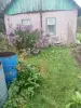 продам дом деревня Косачи