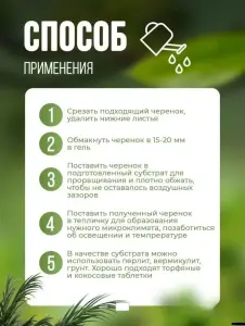 Фитоклон укоренитель