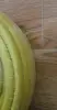 Шланг поливочный садовый BRADAS  1/2 дюйма, 20м