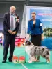 Услуги Хендлера Минск