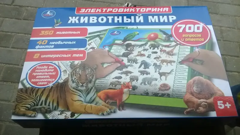 Настольная игра электровикторина с ручкой Умка Животный мир
