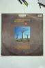Пластинка Pink Floyd-Delicate Sound Of Thunder