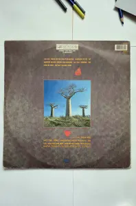 Пластинка Pink Floyd-Delicate Sound Of Thunder
