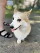 user_62475