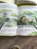 Начни читать книги для начинающих читать