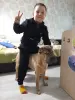 В дар собака