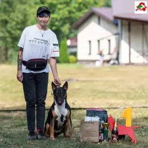 Хендлер в Бобруйске