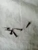 Гвозди сапожные.