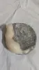 Пепельница соболя из мрамора