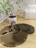 Кошка Рысья в добрые руки срочно