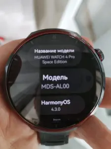 Смарт-часы HUAWEI Watch 4 Pro Space Edition Titani