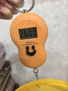 Корм для черепах