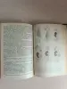 Книга. Учебная литература медицинских институтов