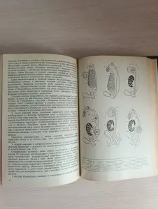 Книга. Учебная литература медицинских институтов