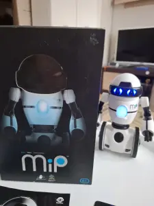 Робот MIP