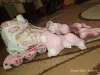 Детские ролики трансформеры