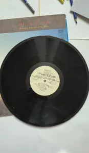 Пластинка Pink Floyd-Delicate Sound Of Thunder