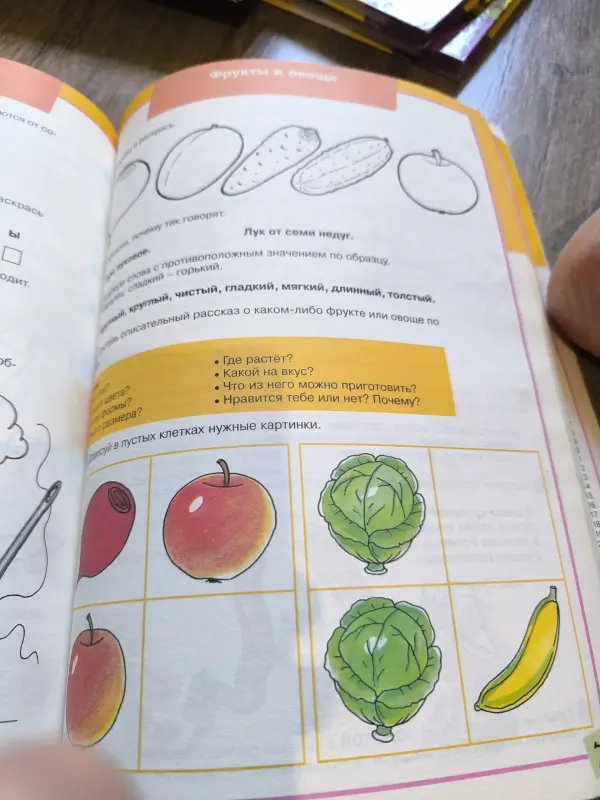 Большая книга занятий по развитию речи