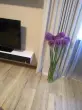 user_62496