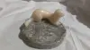 Пепельница соболя из мрамора