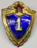 Знак нагрудный 'Солдатская классность 1 степени ВС СССР'