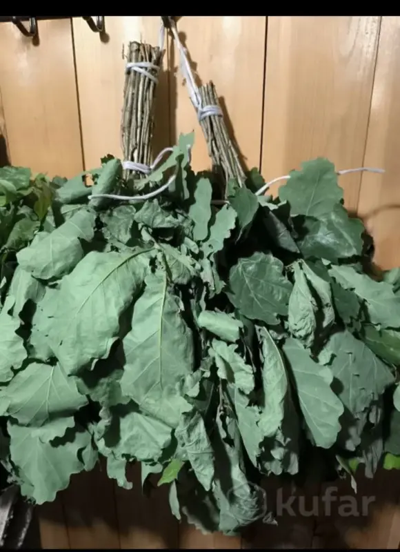 Веники дубовые.