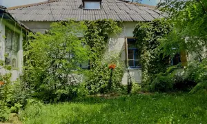 Дом в деревне Гадовичи, Оршанский район, Пищаловский сельсовет