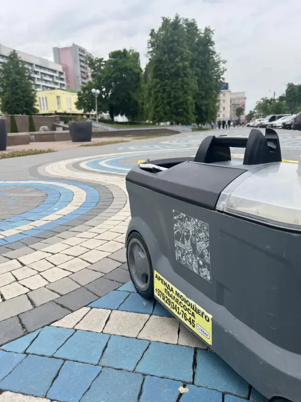 Прокат/Аренда Моющего Пылесоса