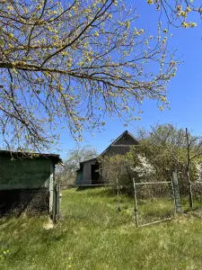 Дача Доржи Лида