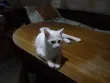 Наталья