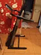 Наталья Юрьевна Илькевич