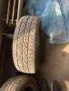 Шины