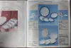 Каталог Минский фарфор: каталог Минского фарфорового завода, 1990 год,