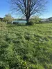 Продам участок рядом с Минском — Марьяливо