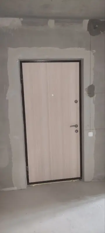 Входная дверь