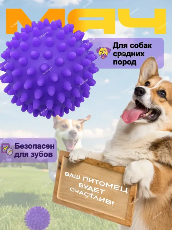 Дизайн карточки товара