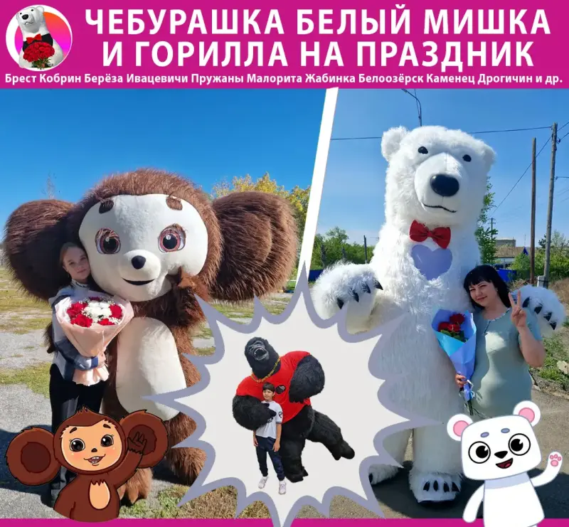 Аниматор Белый Медведь Мишка Чебурашка Горилла Брест Кобрин Берёза Ивацевичи Пружаны Малорита Жабинка Белоозёрск Каменец Дрогичин