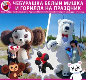 Аниматор Белый Медведь Мишка Чебурашка Горилла Брест Кобрин Берёза Ивацевичи Пружаны Малорита Жабинка Белоозёрск Каменец Дрогичин