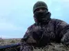Щенки жесткошерстной таксы