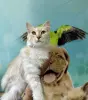 Красавчик Беня очень ждет свою семью!