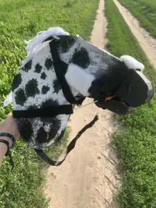 Лошадка на палке ХоббиХорс