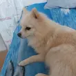 Ольга