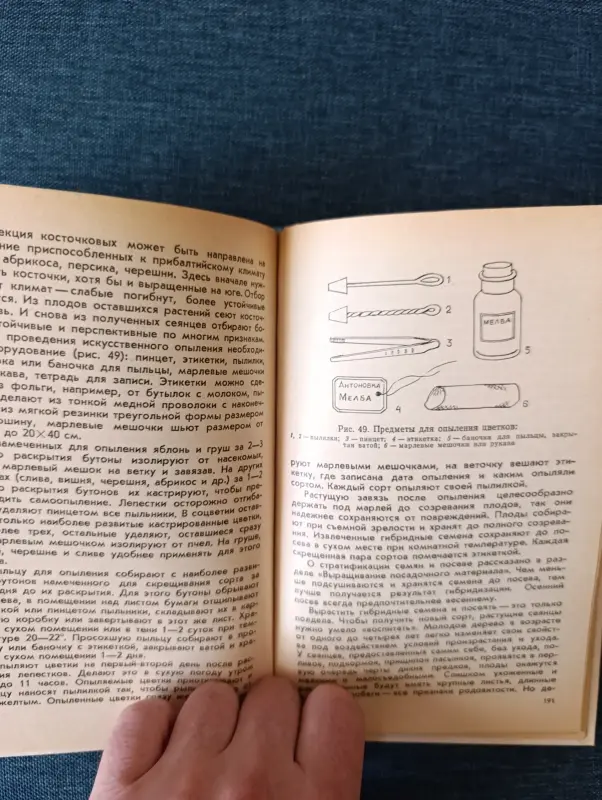 Книга. Советы по домоводству и Плодовый сад