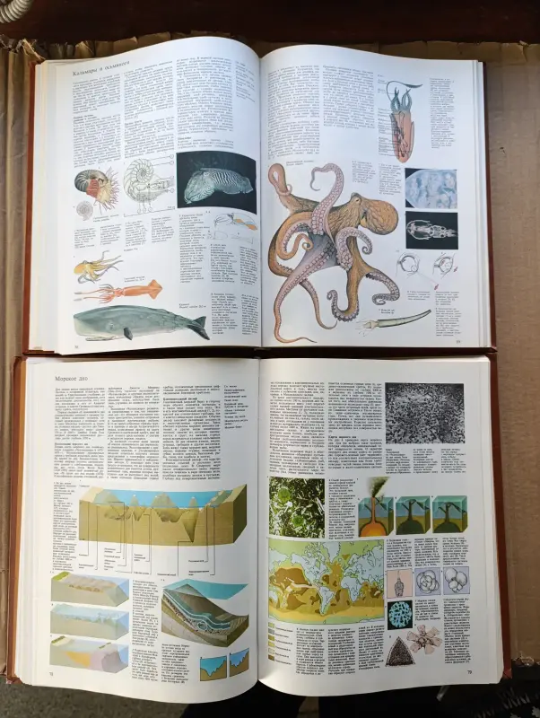 Книги. Энциклопедия. Радость Познания .