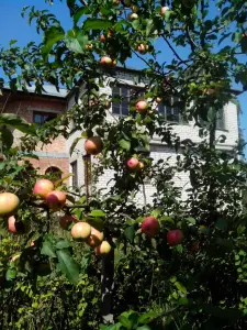 Коттедж 3 уровня в Сморгони 210 кв Восточный МКР.