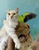 Красавчик Беня очень ждет свою семью!