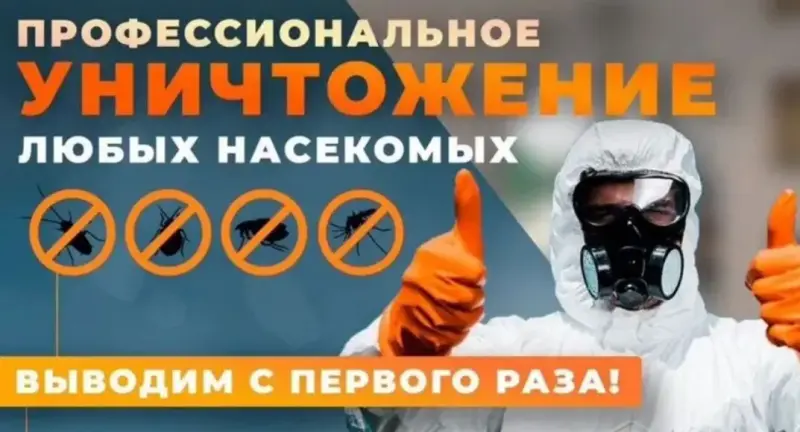 Уничтожение вредителей