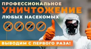 Уничтожение вредителей